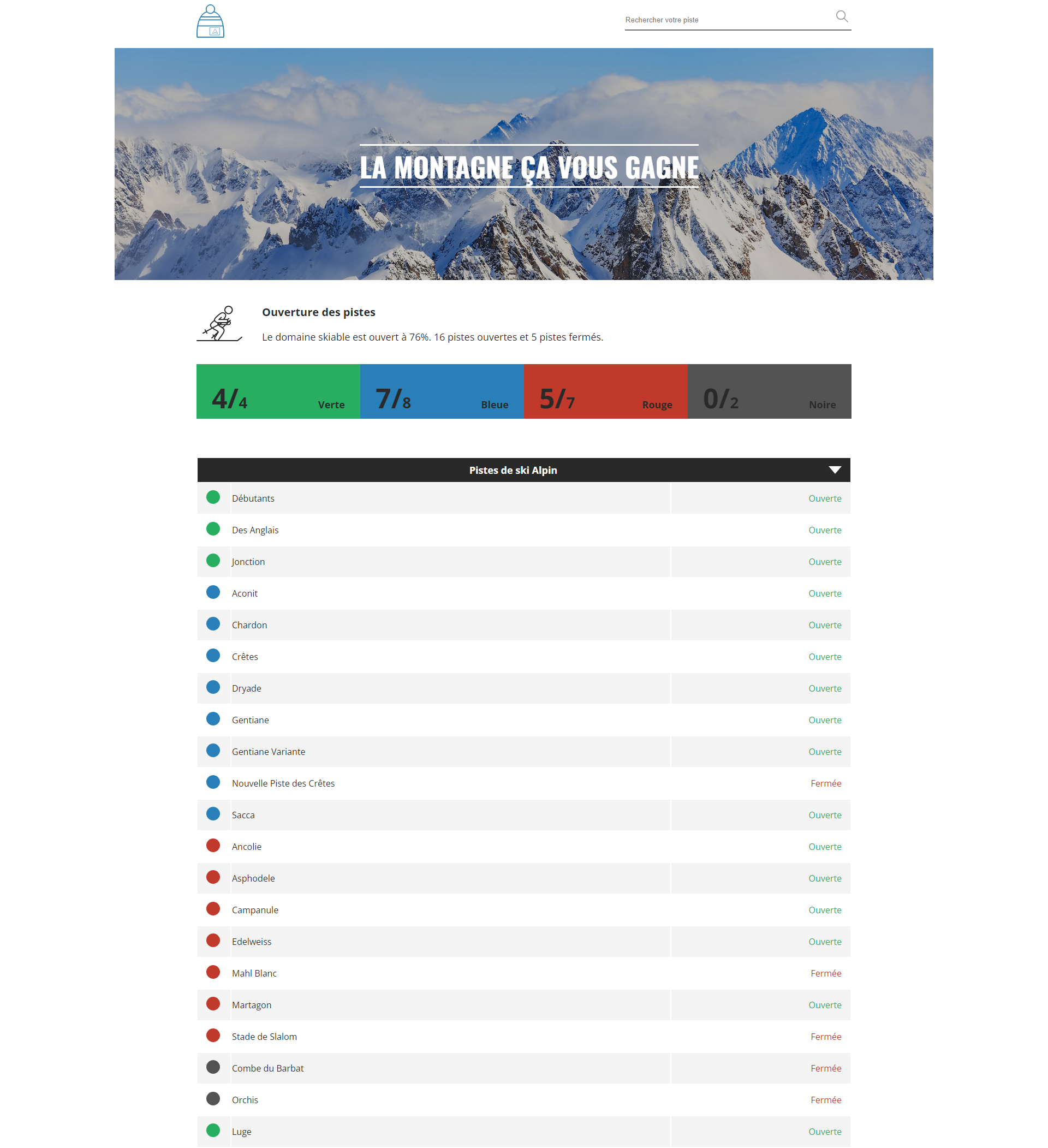 Ski Station Web Site Screenshot